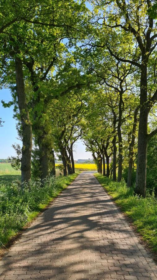Ferienwohnung Baltrum Auf Dem Elisenhof Hagermarsch Exterior foto